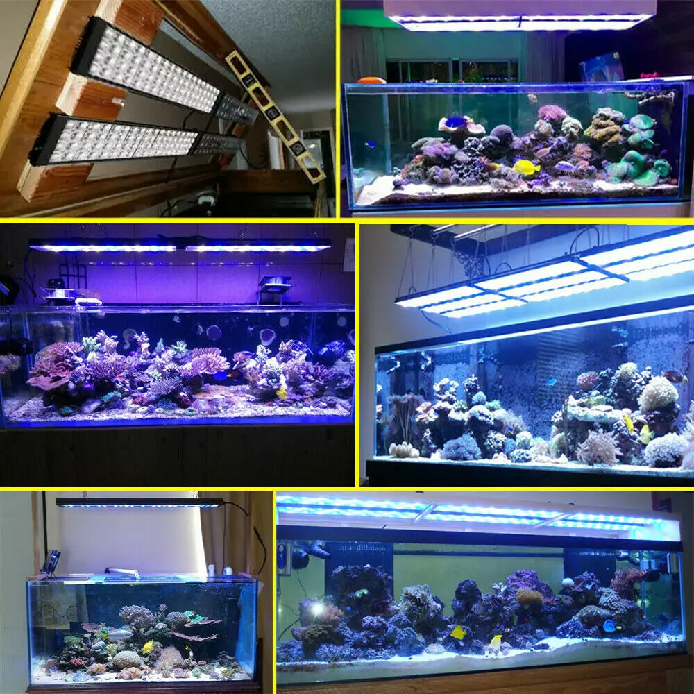 NEW PopBloom-Aquarium LED Lighting SPS/LPS Tank Light, H75, T75