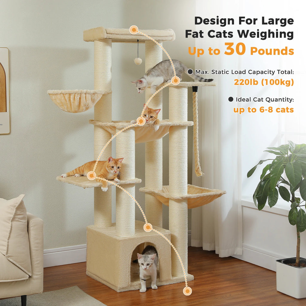 Large Cat Tree for Big Cats  Several Levels