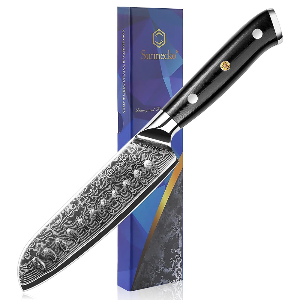 73 Layers High Quality VG10 Damascus Steel Kitchen Knife