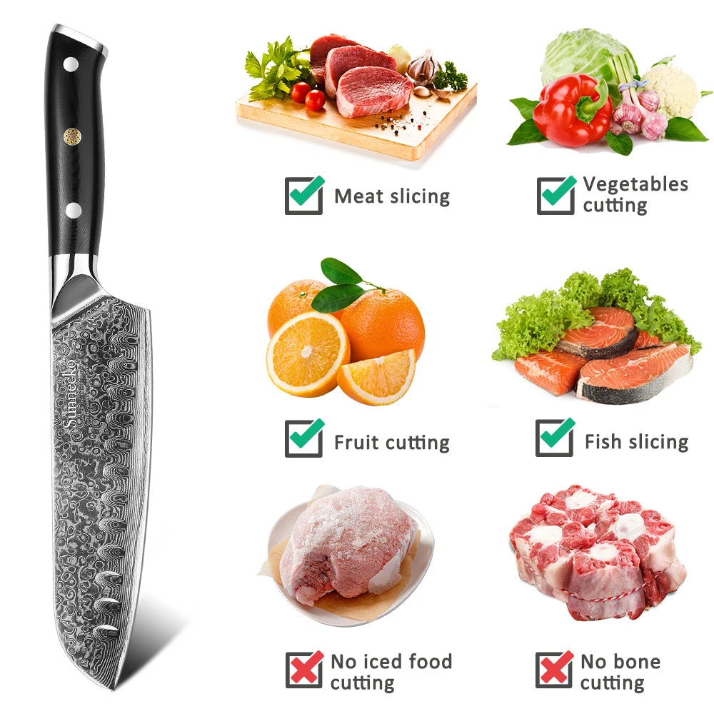 73 Layers High Quality VG10 Damascus Steel Kitchen Knife